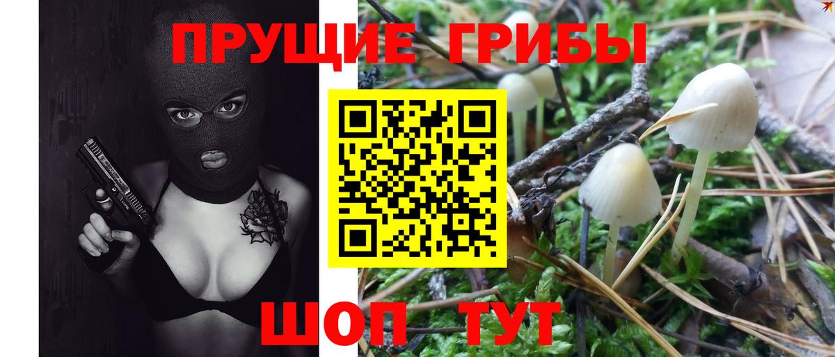 Галлюциногенные грибы мухоморы Заволжье
